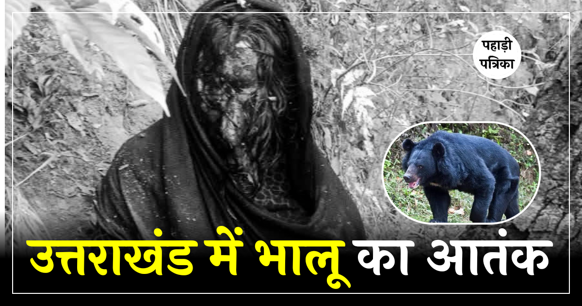 भालू के हमले में महिला बुरी तरह घायल, रात भर पेड़ के सहारे छिपकर बचाई जान; AIIMS ऋषिकेश रेफर — Haridwar news photo