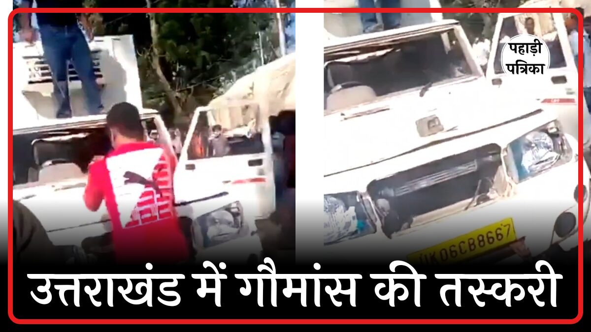 कालाढूंगी में गौमांस तस्करी का खुलासा, हिंदूवादी संगठनों ने पकड़े दो पिकअप — Nainital news photo