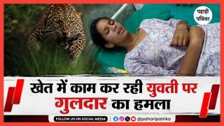 Uttarkashi News: खेतों में काम कर रही युवती पर गुलदार का हमला