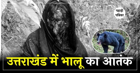 भालू के हमले में महिला बुरी तरह घायल, रात भर पेड़ के सहारे छिपकर बचाई जान; AIIMS ऋषिकेश रेफर — Haridwar