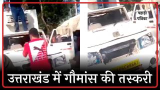 कालाढूंगी में गौमांस तस्करी का खुलासा, हिंदूवादी संगठनों ने पकड़े दो पिकअप — Nainital