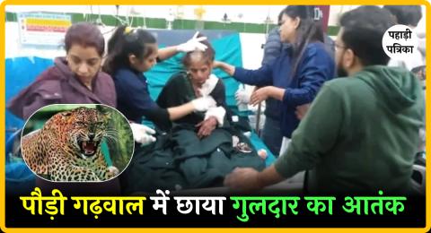 उत्तराखंड में गुलदार का आतंक: कोटी गांव में महिला की मौत, डोभाल ढांढरी में एक घायल; ग्रामीणों में दहशत — Uttarakhand new…