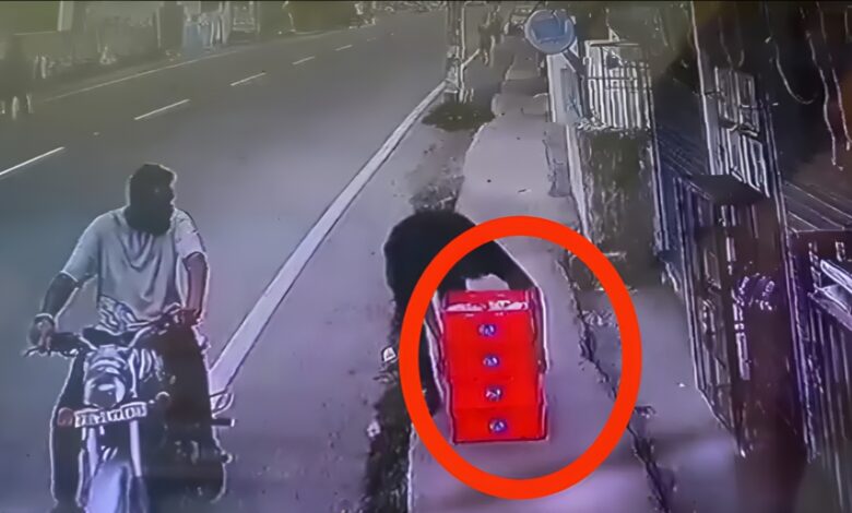 अजब देहरादून की गजब कहानी: बुलेट पर दूध चोरी का वीडियो हुआ वायरल